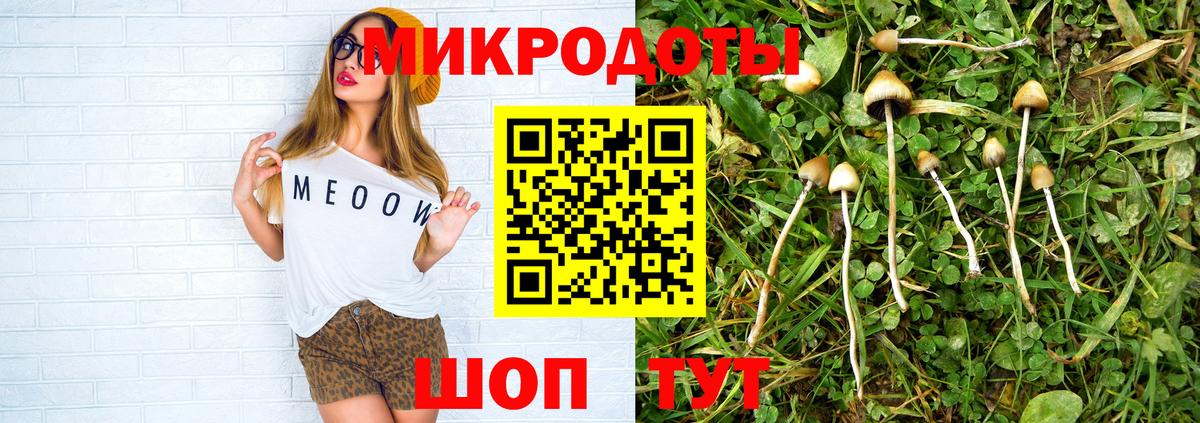 Галлюциногенные грибы мицелий  купить наркотик  Октябрьский  Вход с VPN 