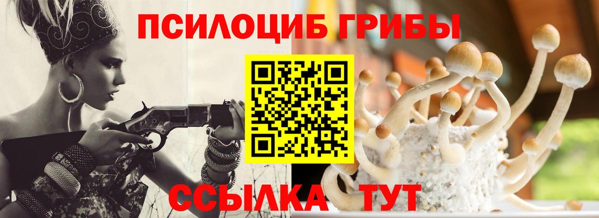 Галлюциногенные грибы Cubensis Октябрьский